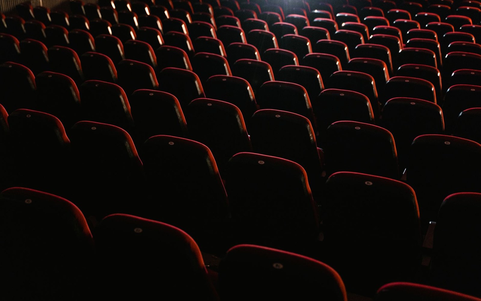 Rows of empty seats in a darkened auditorium before a screening